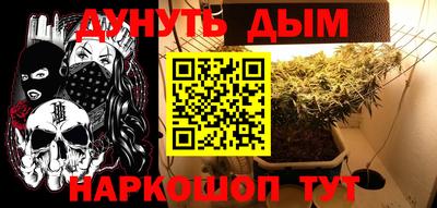 Альфа ПВП Беслан