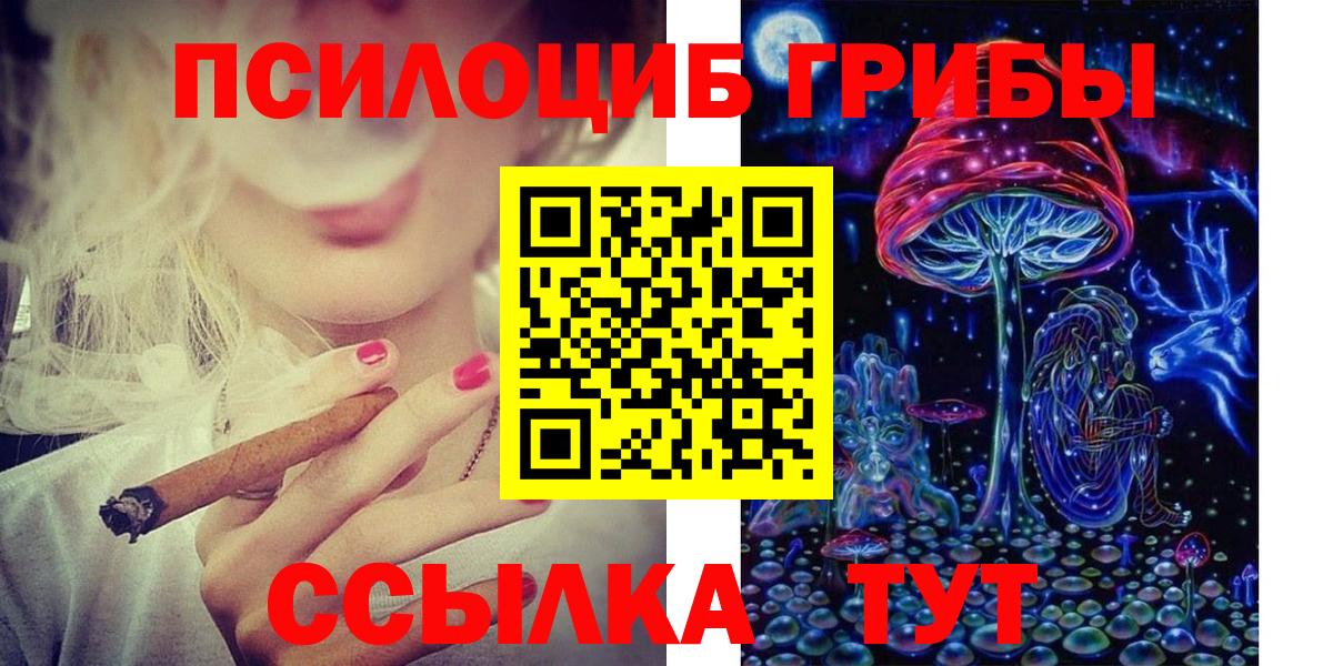 Псилоцибиновые грибы мицелий Кольчугино