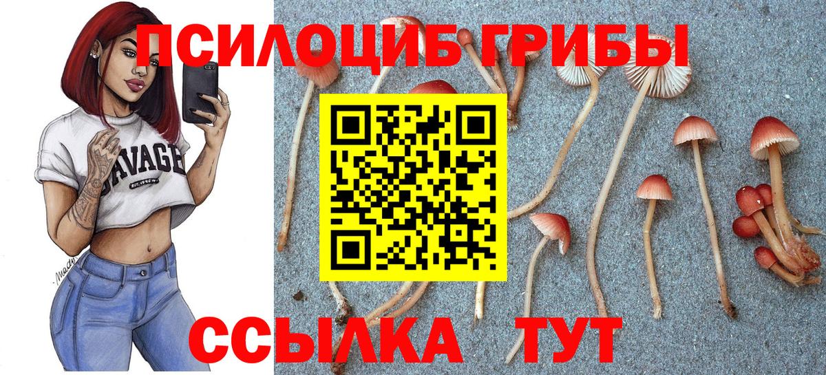 Псилоцибиновые грибы Cubensis  Вход с VPN  купить наркотики сайты  Кольчугино  Псилоцибиновые грибы GOLDEN TEACHER 