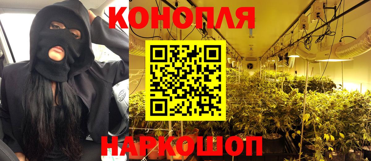МАРИХУАНА THC 21%  Вход с VPN  Шишки марихуана гибрид  Шишки марихуана индика  Кольчугино  Бошки Шишки гибрид 